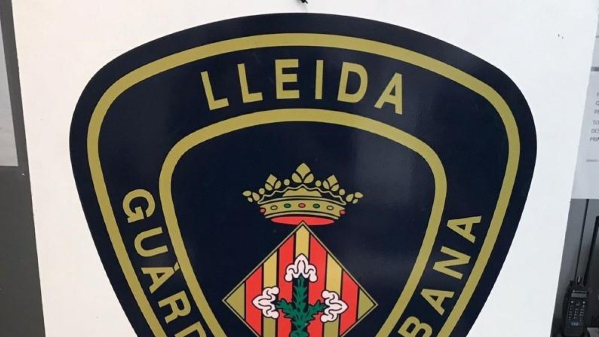 Imatge de la marihuana que portava l’arrestat.