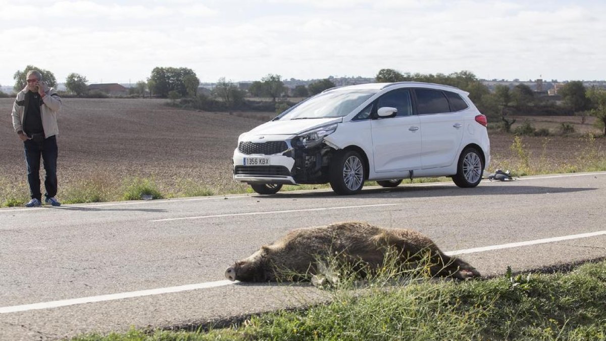 Imagen de archivo de un accidente con un jabalí en la Segarra.
