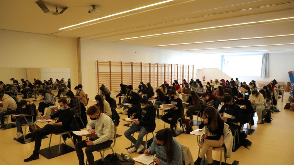 Imatge del grup de Psicologia que va fer un examen al gimnàs de la seua facultat.