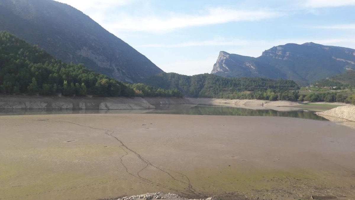 La cola del pantano de Oliana, con huellas de jabalíes.