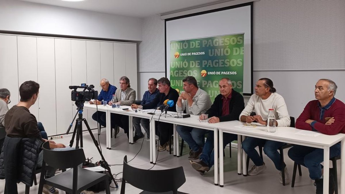 UP i organitzacions apícoles estimen en uns 2,5 milions d'euros les pèrdues en la collita de mel de tardor per la vespa asiàtica