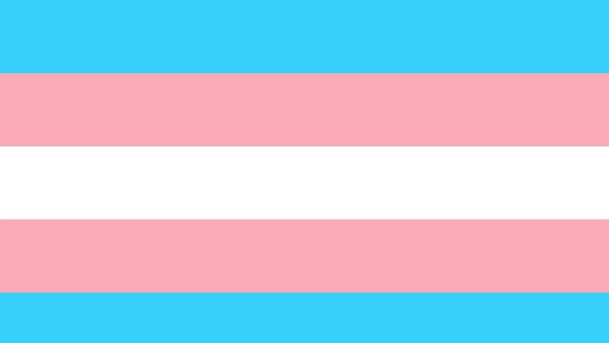 Plataforma Trans advierte de que fusionar su ley específica con una LGTBI es 