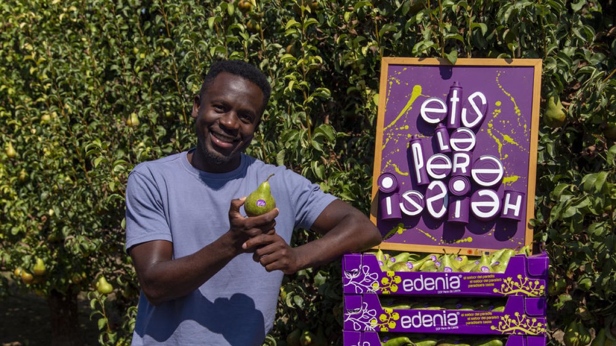 El cantante y músico leridano Kelly Isaiah apadrinó la cosecha de este año.