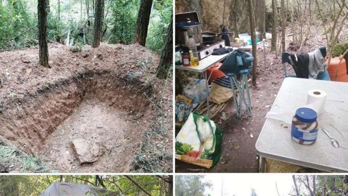 Los dos detenidos vivían en el lugar con tiendas y vigilaban y cultivaban las plantas