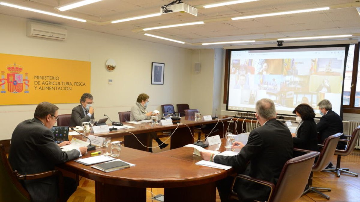 Imagen de la reunión celebrada ayer en el ministerio.