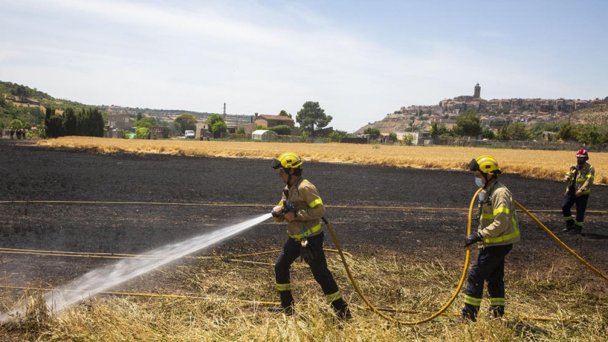 Bombers remullant la zona calcinada a Cervera ahir al migdia.