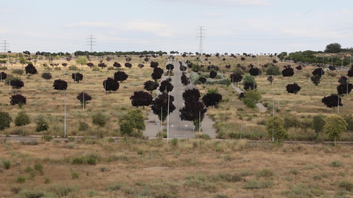 Vista general de la zona de Torre Salses, donde Eurofund promueve un parque comercial.