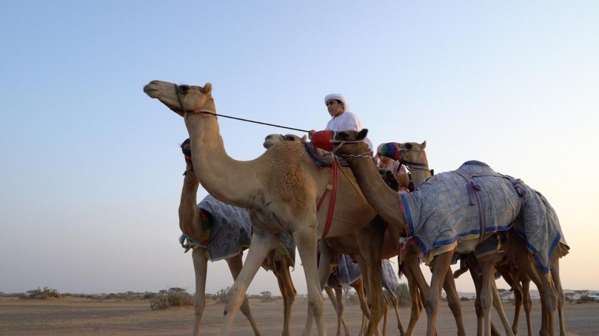 Els joves expliquen el seu país