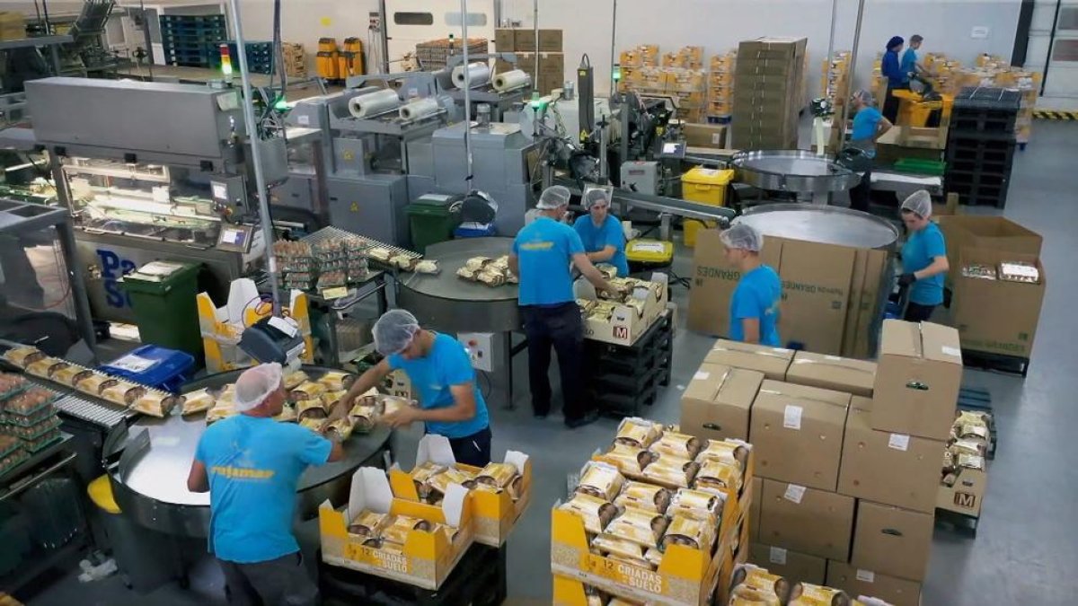 Una planta de envasado de huevos, antes de llevarlos al supermercado.