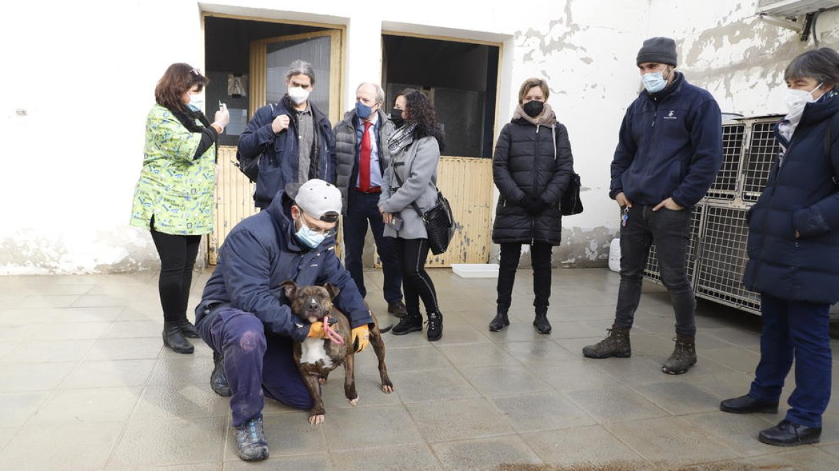 Els advocats participants en la visita al CAAC i Sergi Talamonte.