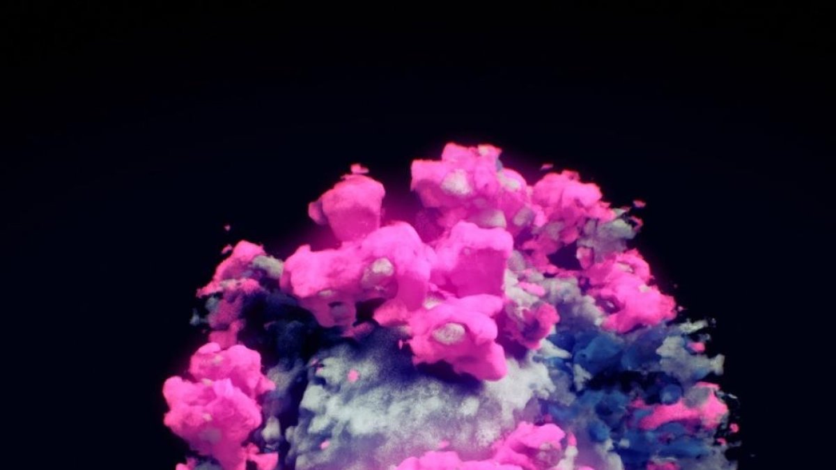 La primera imatge real i en tres dimensions del SARS-CoV-2, difosa ahir.