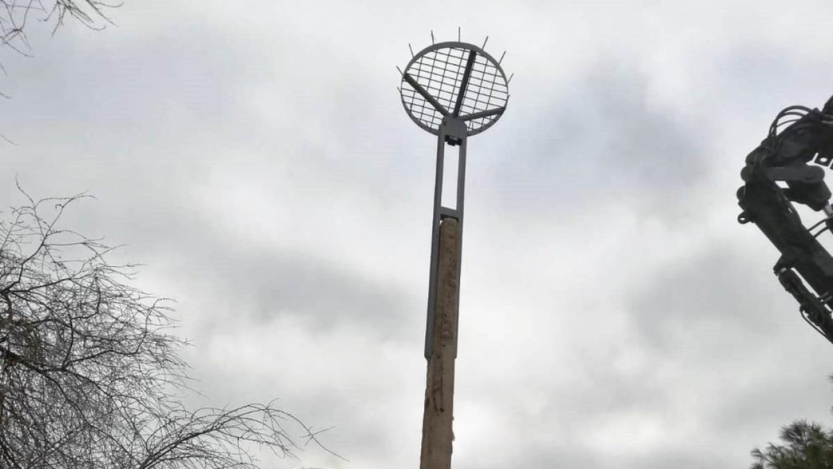 La base del nido, tras la reforma.