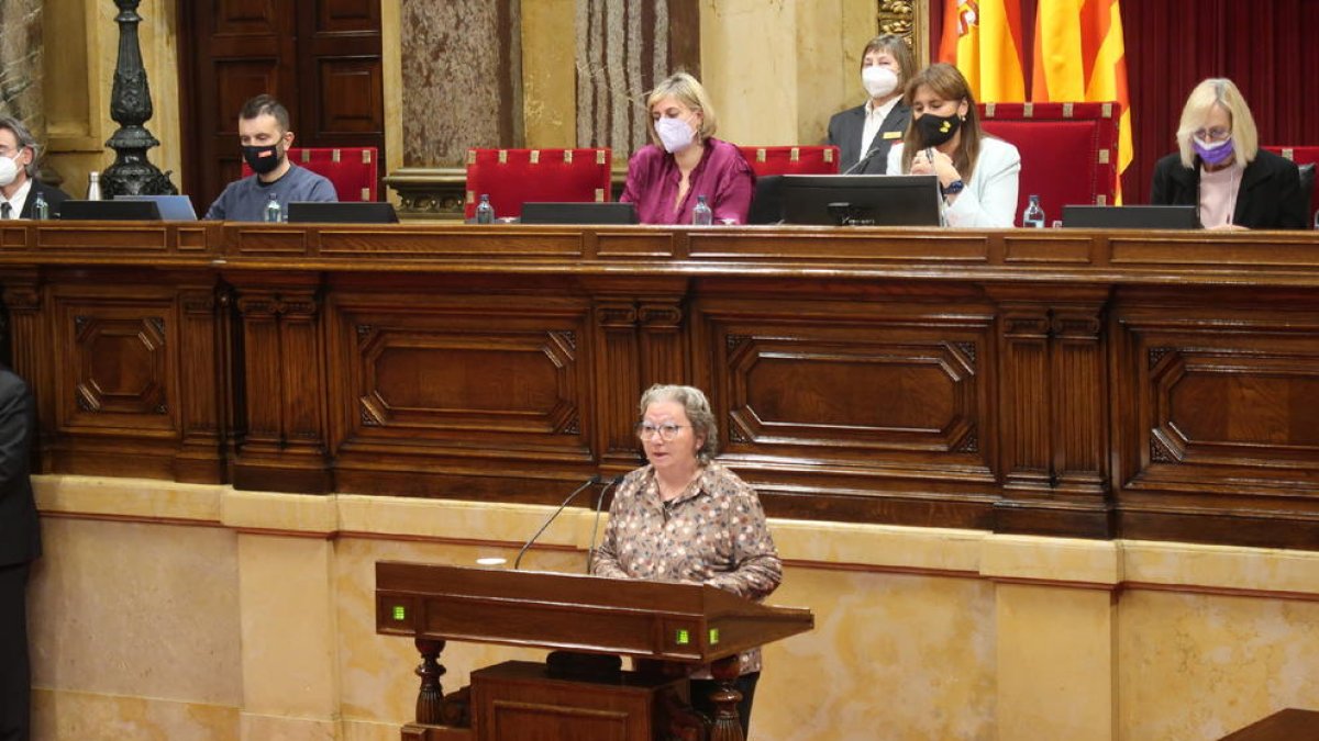 Mercè Torrentallé, en la seua intervenció al Parlament.
