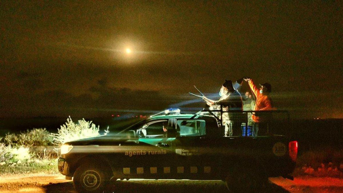 Una de les caceres nocturnes que els Agents Rurals han dirigit aquest any a Lleida.