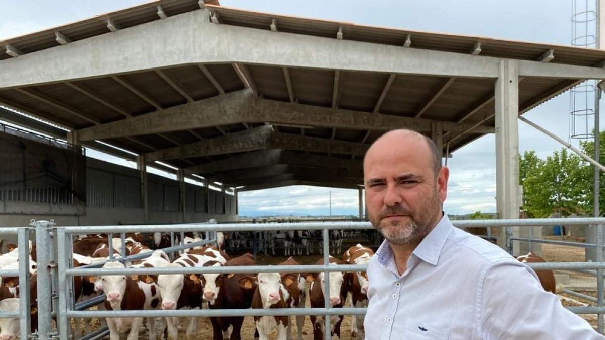 El presidente de Asoprovac, Ricard Gòdia, alerta de la crítica situación del vacuno de carne.