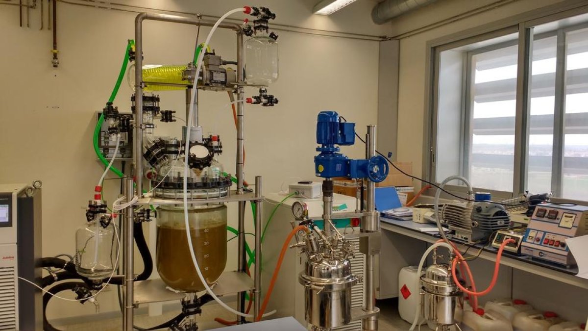 Polifenol per a cosmètica de la biorefineria.