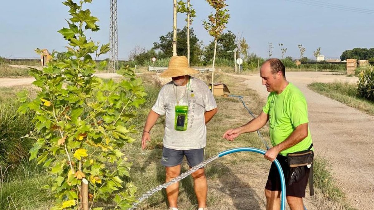 Los Amics i Amigues de la Banqueta riegan los árboles que ellos mismos plantaron.