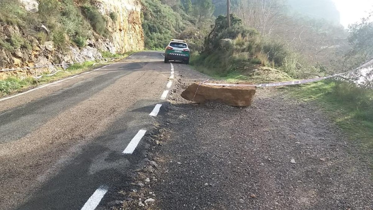 Una roca despresa del talús en el qual s’actuarà.