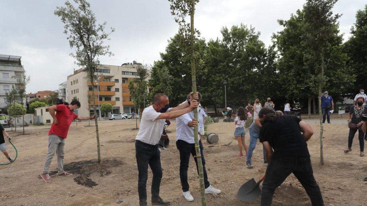 Vista general dels veïns de Joc de la Bola plantant arbres al solar del carrer Alcalde Pujol.