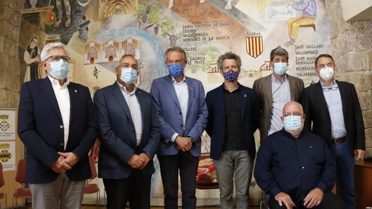 Set comarques s'alien en contra de la massificació de renovables