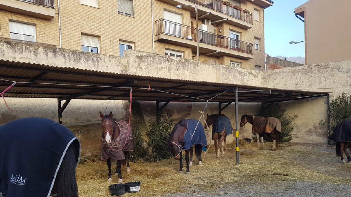 Els primers cavalls de turistes allotjats aquesta setmana a l’hostal Jaumet de Torà.