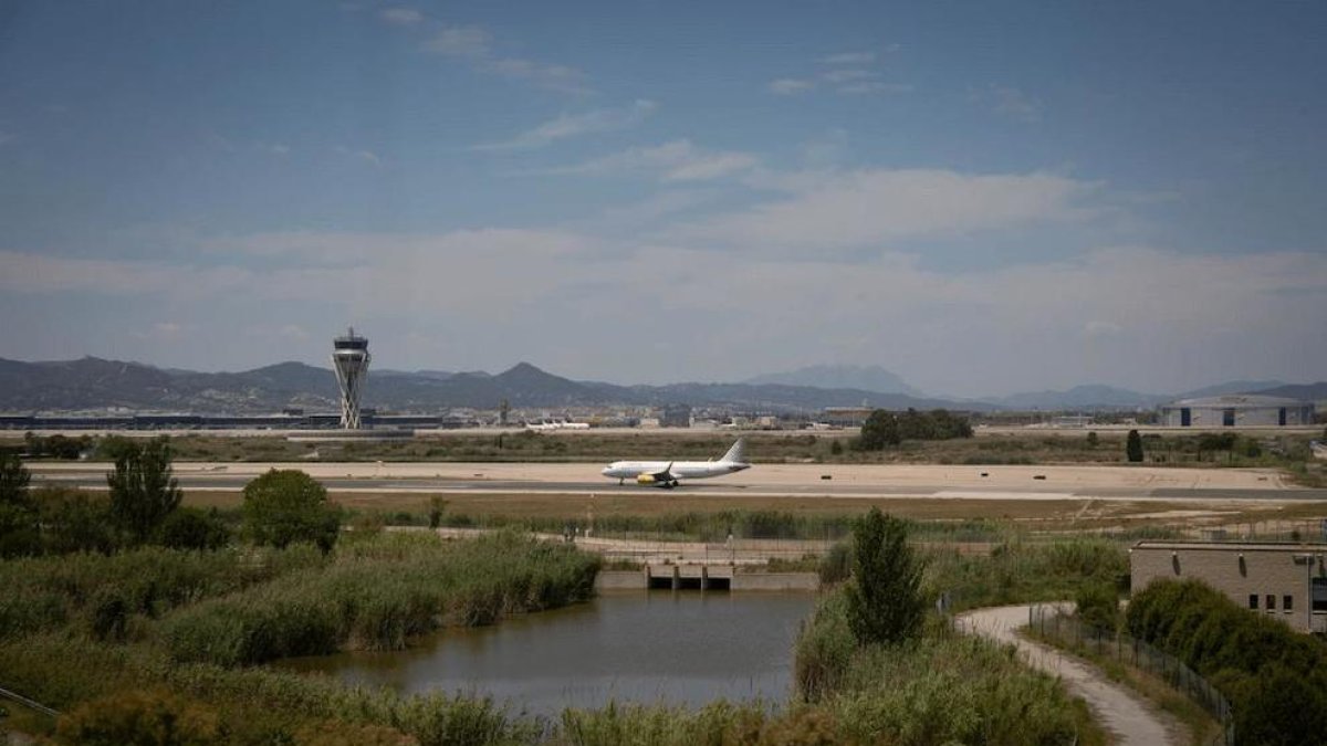 La Ricarda, de plena actualitat.