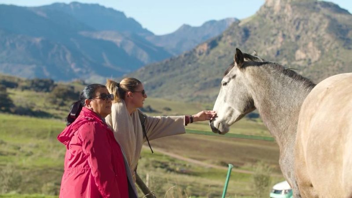 'Dos parejas...' viatja per Cadis