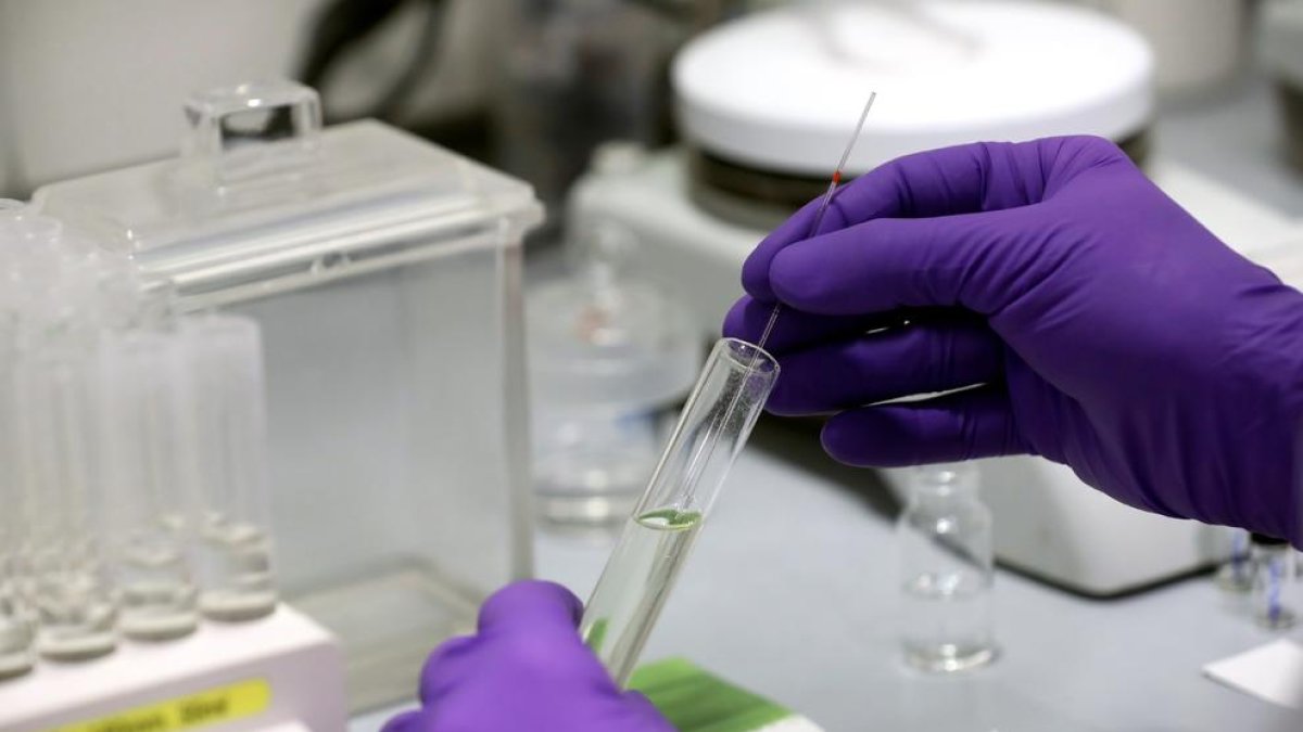 Técnicos de laboratorio trabajan en la empresa PharmaMar