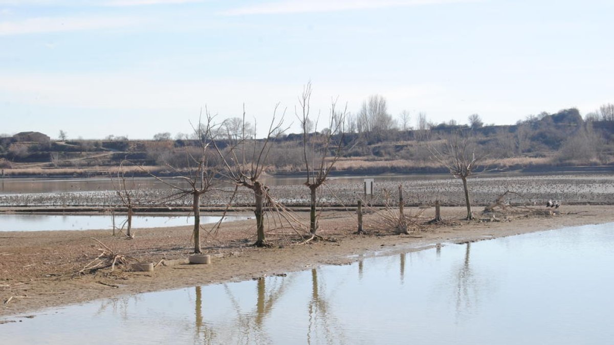 Inicien el procés d'ompliment de l'estany després de sanejar-lo