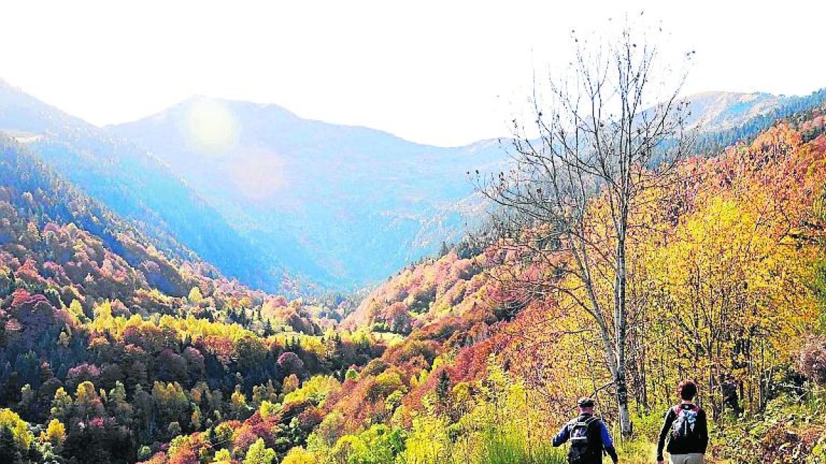 Imatge d’arxiu del Camin Reiau d’Aran.