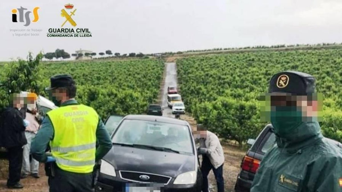 Agentes en una inspección en una finca agrícola de Lleida.