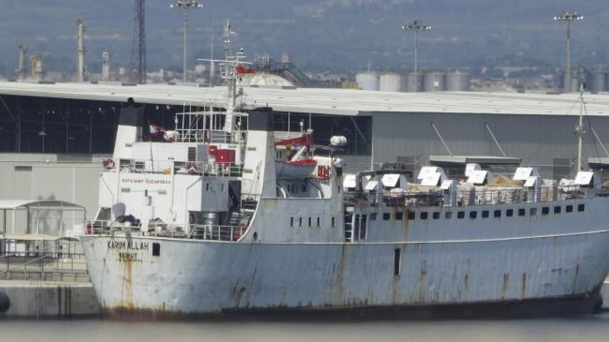 Naveguen pel Mediterrani 2.600 vaques malaltes amb l'enfermetat de la llengua blava.