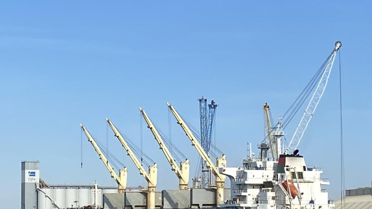 Imagen del buque MV Jafal Hafit en el puerto de Tarragona en plenas labores de carga de alfalfa.
