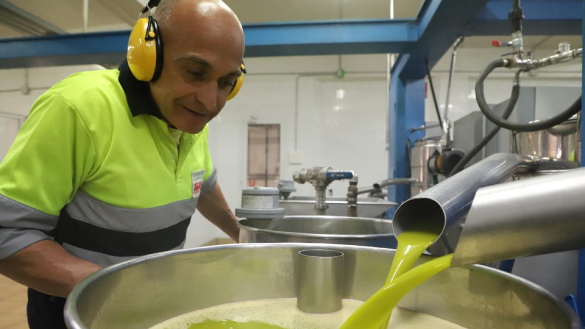 La cooperativa de Maials