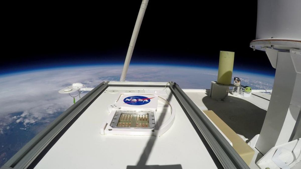 Imagen cedida por la Nasa de la MarsBox.