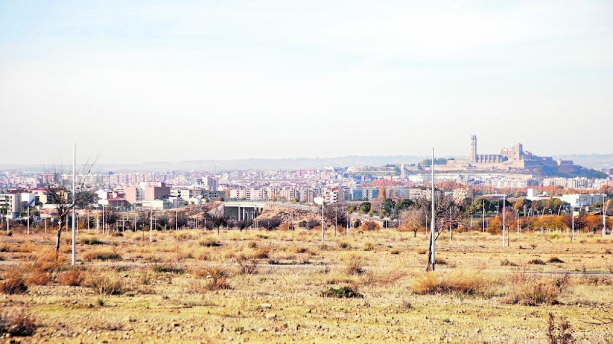 Vista de part dels terrenys de Torre Salses.