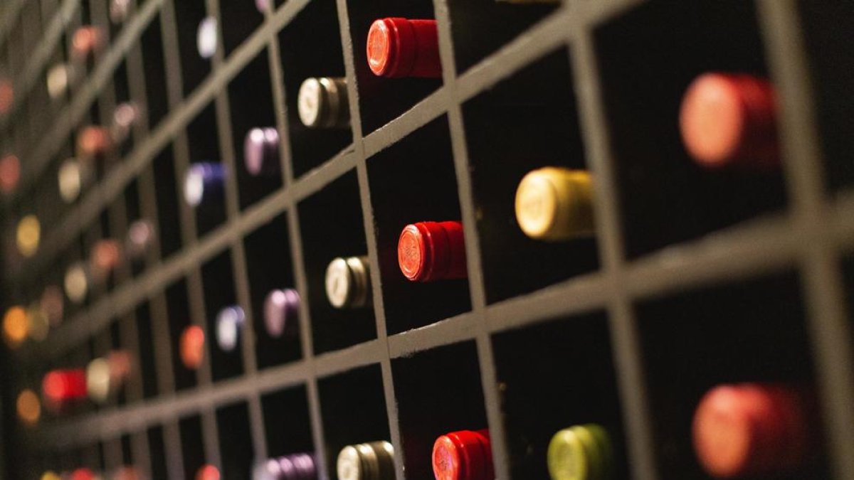 Un vi de Costers del Segre, entre els millors de tot l'estat segons 'The Independent'