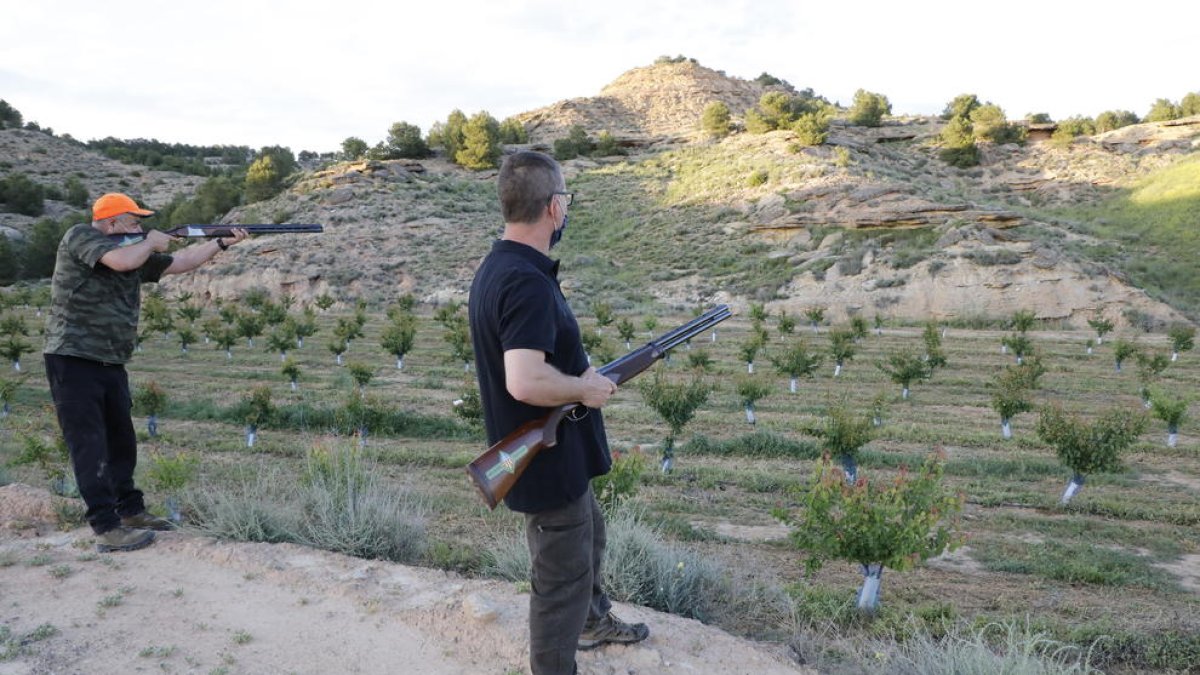 Caçadors durant una partida per a la caça de senglars al municipi d’Aitona.