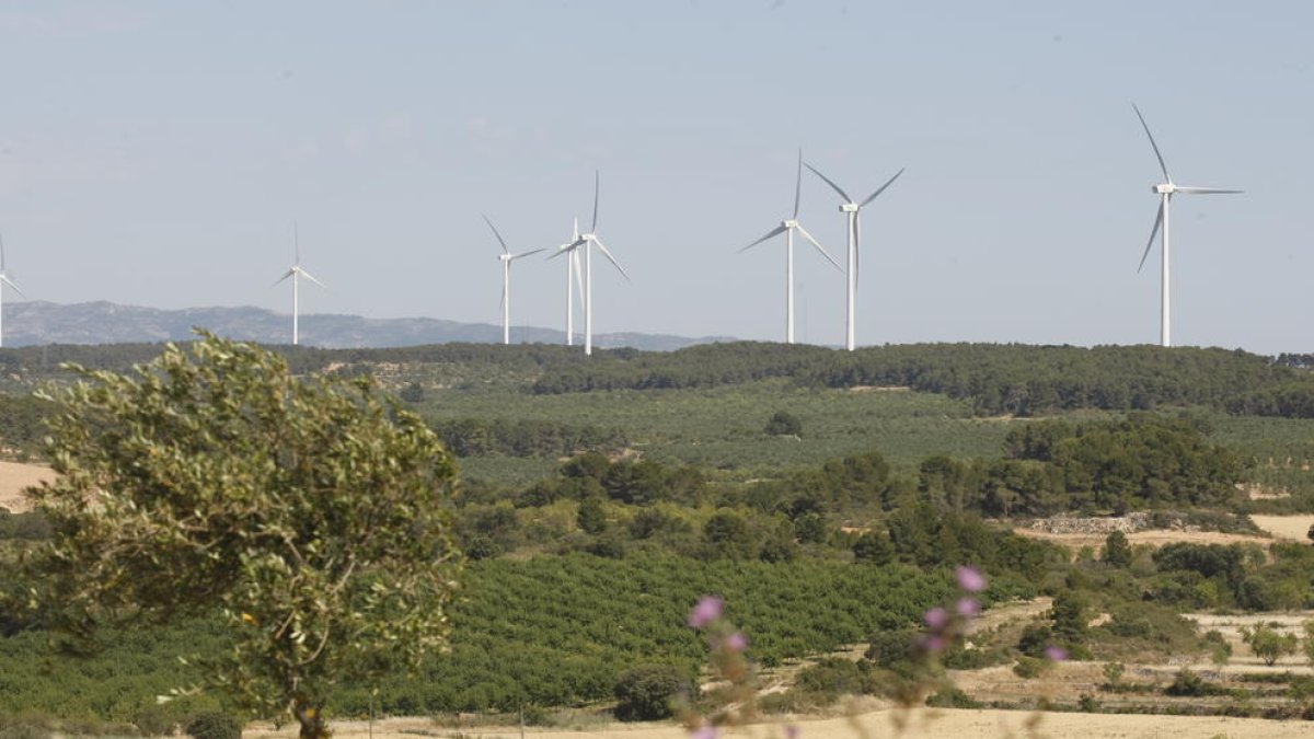 Imagen de archivo de molinos de viento instalados en Les Garrigues.