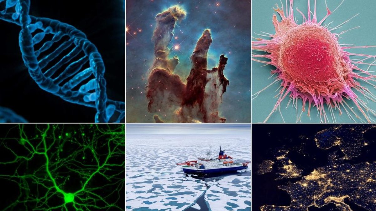 El Consell Superior d'Investigacions Científiques ha fixat en un 'Llibre Blanc' els catorze desafiaments més importants fins l'any 2030 per augmentar el coneixement de la vida, les malalties, l'exploració de l'espai o el clima.