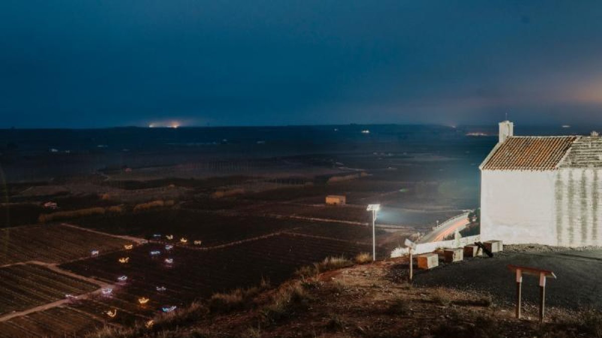 A la izquierda de la foto, los frutales iluminados de Aitona.