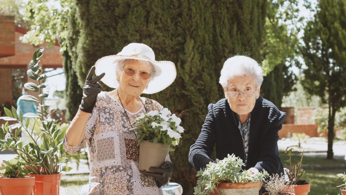 L’Amadora i l’Elvira, de 98 i 96 anys, practiquen la jardineria en el seu particular retorn a la normalitat.