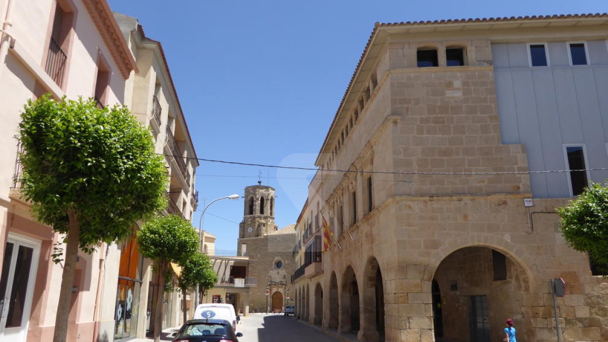 Vista de Linyola