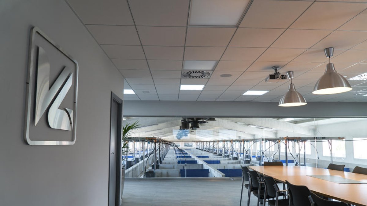 Digitalització en el món ramader. Què és una granja 5.0?