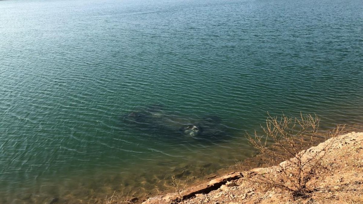 Vista del vehículo que acabó en el interior del pantano de la Bassella en Miralcamp.