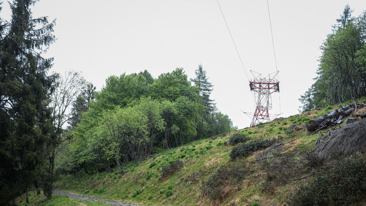 Vista del área donde el teleférico se soltó y cayó cerca de la cima de la línea Stresa-Mottarone.