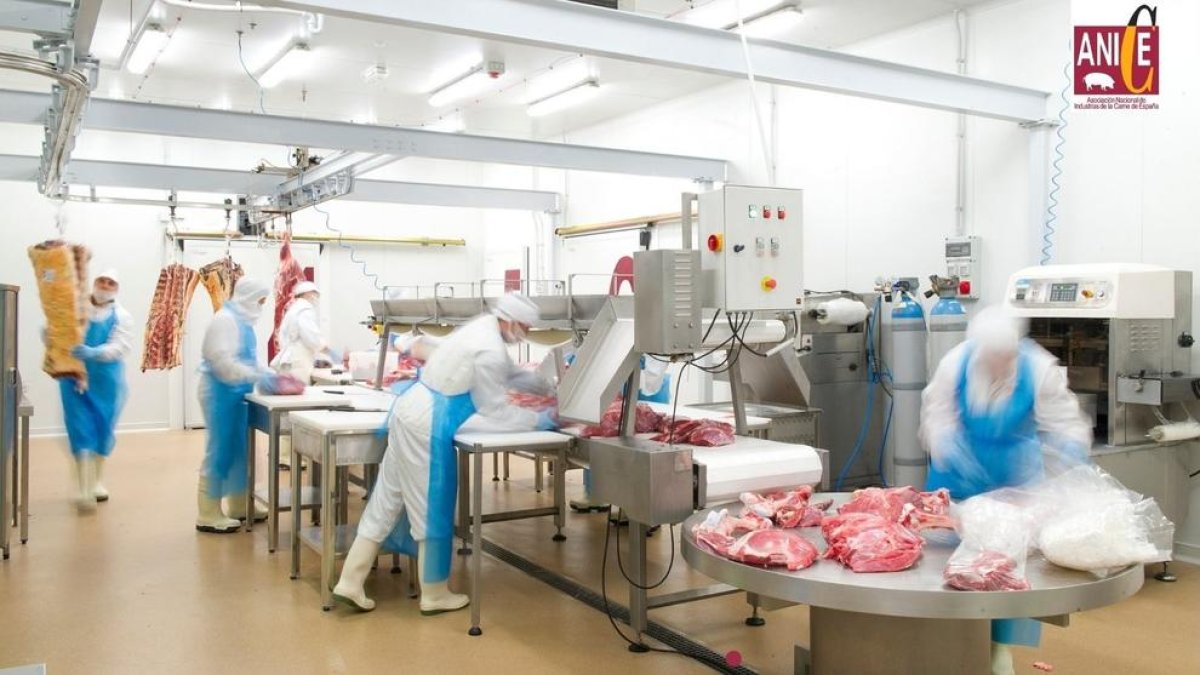Les indústries càrnies alerten dels problemes a què s’estan enfrontant.
