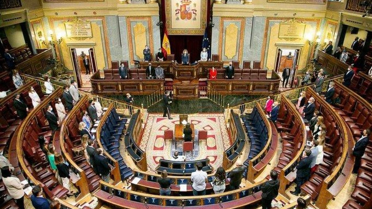 El pleno del Congreso guarda un minuto de silencio en memoria de las catorce mujeres y seis menores que han sido asesinados en España en 2021 en casos de violencia de género.
