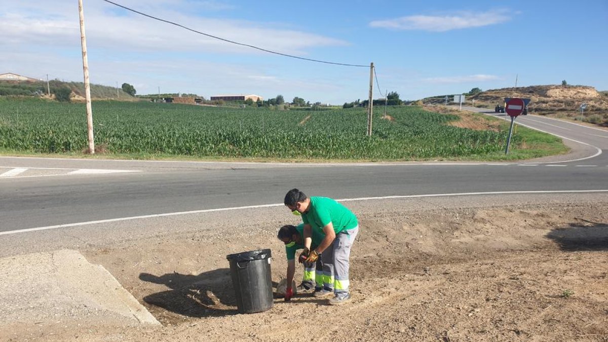 Los dos operarios limpiando cunetas y aceras de viales.