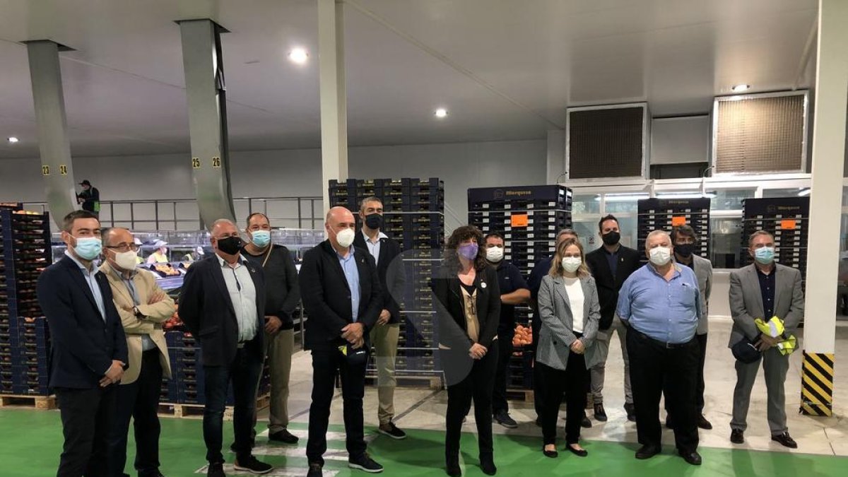 La campanya de la fruita dolça acaba amb els millors preus dels darrers set anys